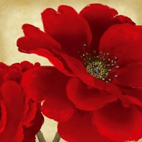 Red Peony I Fine Art Print