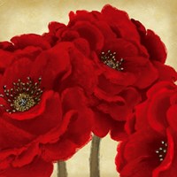 Red Peony II Fine Art Print