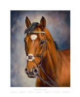 Frankel Fine Art Print