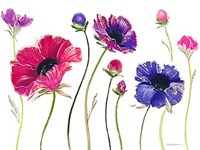 Fanfare II Fine Art Print