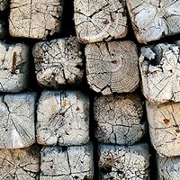 Silvana XV Fine Art Print