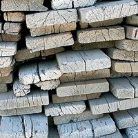 Silvana VII Fine Art Print