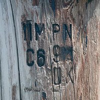 Silvana XVII Fine Art Print