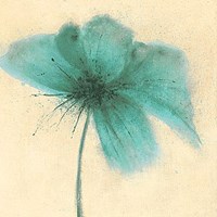 Floral Burst III Fine Art Print