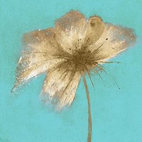 Floral Burst IV Fine Art Print