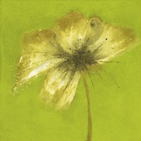 Floral Burst VI Fine Art Print