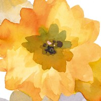 Ginger Gold I Fine Art Print