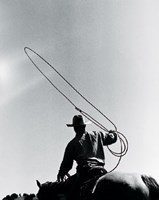 Rodeo III Fine Art Print