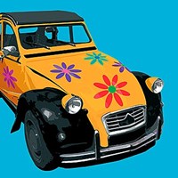 Flower Power I Fine Art Print