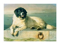 A Distinguished Member Of The Humane Society Fine Art Print