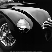 Jaguar C-Type Fine Art Print
