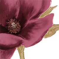 Grandiflora Blush I Fine Art Print