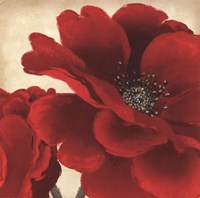Red Peony I Fine Art Print