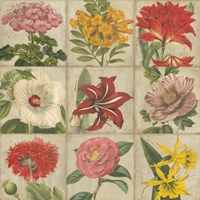 Vintage Flower Grid Fine Art Print
