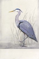 Keeping Watch II Fine Art Print