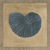 Sandy Shore III Fine Art Print