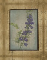 Photographic Floral Collage I Fine Art Print