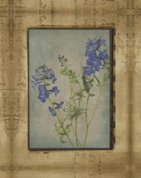 Photographic Floral Collage II Fine Art Print