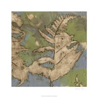 Fern Lake I Fine Art Print