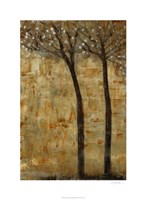 In Bloom II Fine Art Print