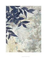 Aquarelle Shadows I Fine Art Print