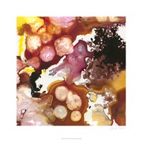 Geodesic IV Fine Art Print