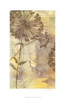 Dandelion Dance I Fine Art Print