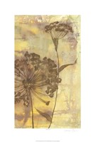 Dandelion Dance II Fine Art Print