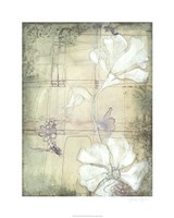 Poppy Whisper I Framed Print