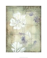 Poppy Whisper II Framed Print