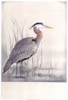 Non-Embellished Keeping Watch I Fine Art Print