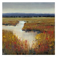 Marsh Land I Fine Art Print