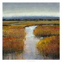 Marsh Land II Fine Art Print