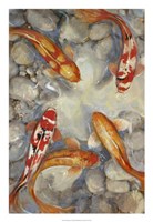 Vibrant Koi I Fine Art Print