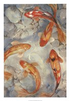 Vibrant Koi II Fine Art Print