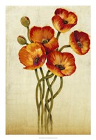 Entanglement I Fine Art Print