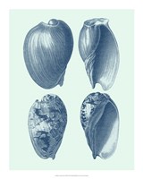 Coastal Curio VIII Fine Art Print