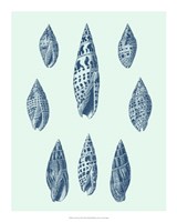 Coastal Curio IX Fine Art Print