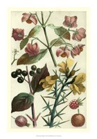 Fruits & Foliage I Fine Art Print