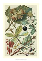 Fruits & Foliage V Fine Art Print