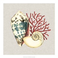 18" x 18" Seashell Art