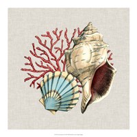 By the Seashore II Fine Art Print