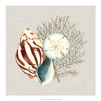 By the Seashore III Fine Art Print