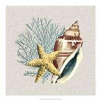 By the Seashore IV Fine Art Print