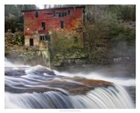 Steamy Morning Fine Art Print