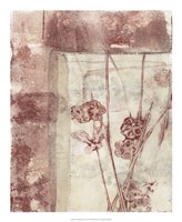 Framed Blossoms I Framed Print