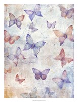 In Flight II Fine Art Print