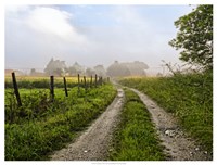 Le Dognons Fine Art Print