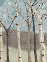 Blue Birches I Fine Art Print