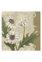 Paris Daisy II Fine Art Print